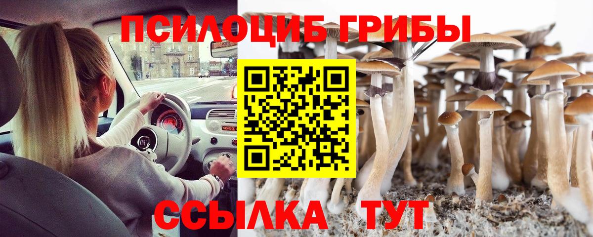 Галлюциногенные грибы прущие грибы Конаково