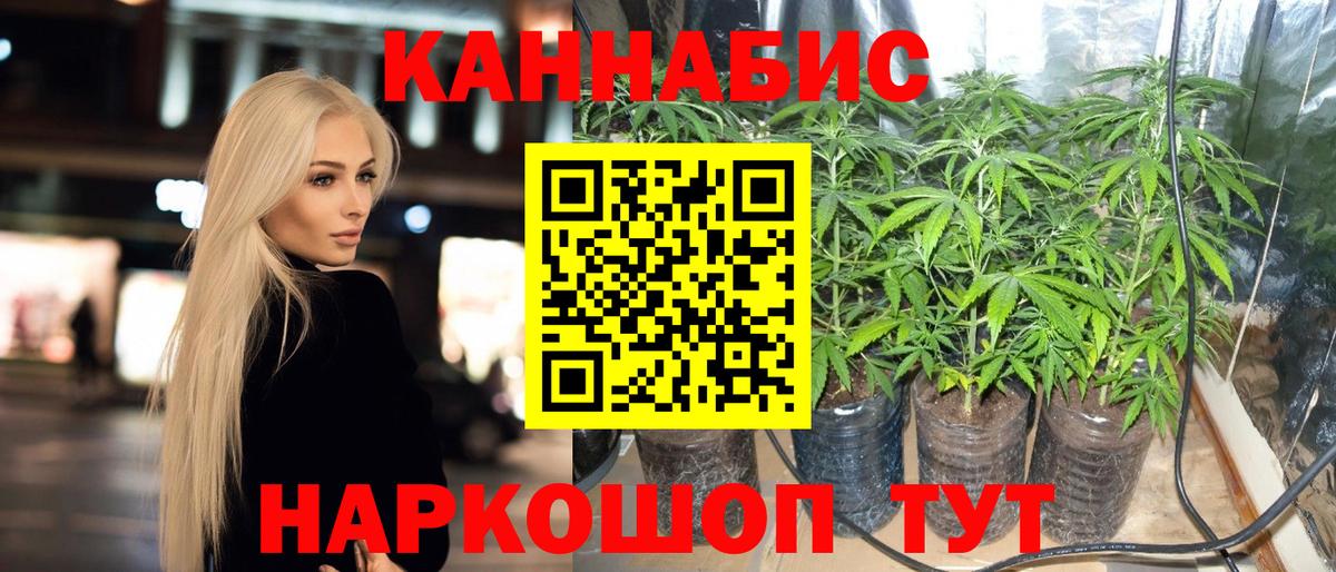Бошки марихуана ГИДРОПОН  Бошки Шишки сатива  Конаково  Бошки Шишки марихуана  Вход с VPN 